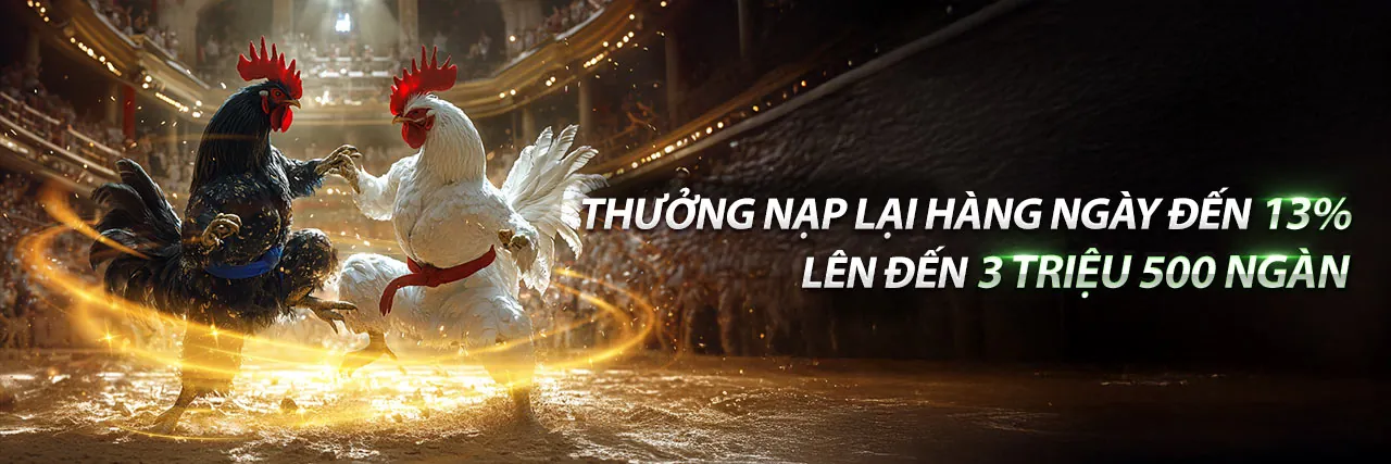 Đá Gà 88 Thomo kịch tính